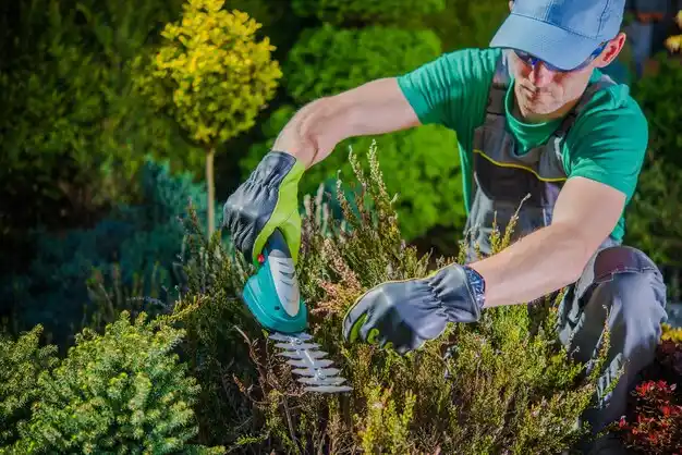 landscaping services McGraw